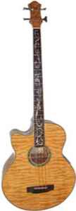 Michael Kelly Left Handed Dragonfly III Acoustic Bass Guitar