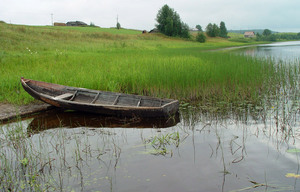 сельская жизнь