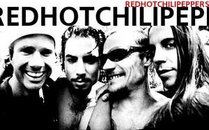 Поехать на концерт RHCP в Польшу