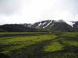 пряжи Alpaca Islandia оранжевой