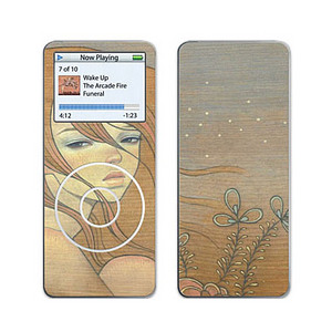 ipod skin