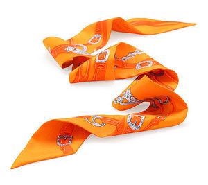 Hermes Silk Ribbon