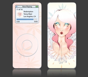 iPod Nano Skins