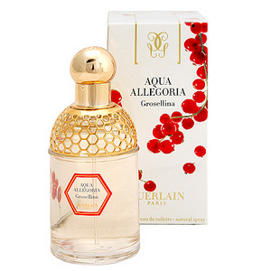 guerlain aqua allegoria grosellina eau de toilette