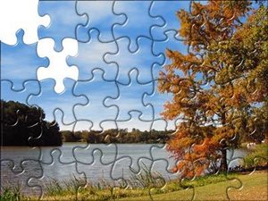 puzzle  300-500 деталий