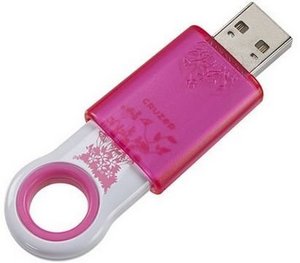 USB флешка от 1 Гб