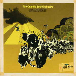 The Quantic Soul Orchestra