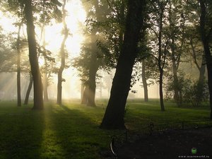 повалятся на газоне в Александровском саду