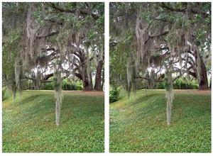 learn how to take stereo photographs