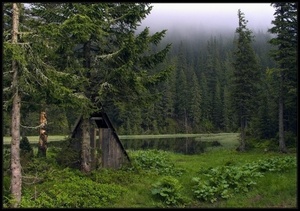 В Румынию (особенно Карпаты)