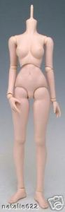 Volks Dollfie Dream Body II Nature Skin - eBay (item 370094247185 end time Dec-05-08 22:36:59 PST)