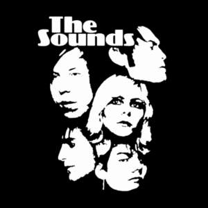 пойти на концерт The Sounds