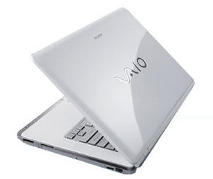 Sony VAIO VGN-CR41SR/W