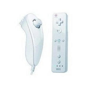 wii mout + nunchuk