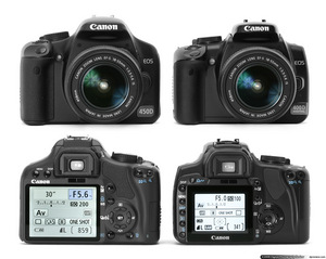 canon 450D body