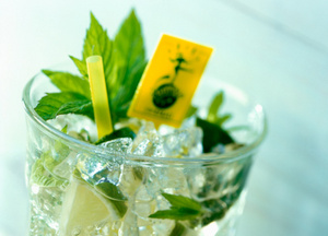 mojito