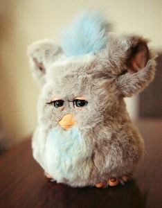 Furby