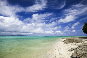 Sex on the beach