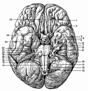 сдать историографию и источниковедение