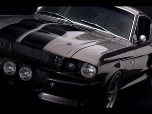 eleanor shelby gt 500,