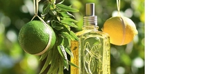 Косметика L'Occitane