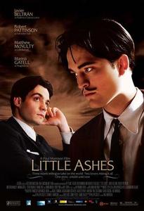 dvd "little ashes"