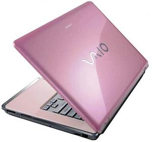 Розовый ноутбук Vaio