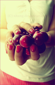 sweet cherry