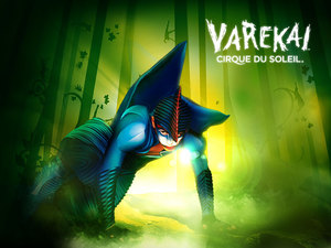 Сходить на Varekai Cirque de Soleil