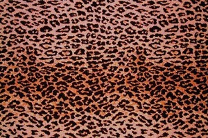 Something in leopard print