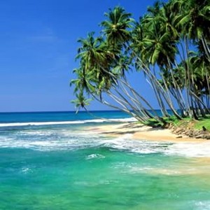 go to Sri Lanka