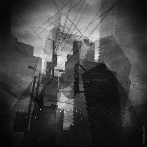 holga 120