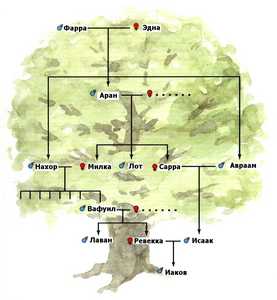 Генеалогическое древо