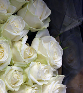 White roses