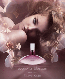 CALVIN KLEIN - Euphoria Blossom