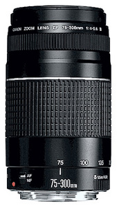 Canon EF 100-300 f/4.5-5.6 USM