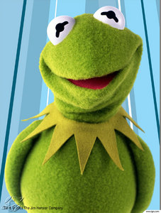 Kermit puppet