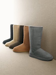 Сапоги UGG Australia