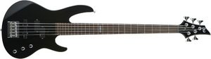 ESP LTD B-55