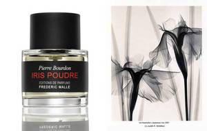 Iris Poudre by Frederic Malle