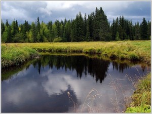 Лето, речка