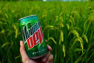 3 ящика Mountain Dew в банках