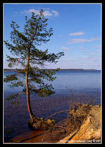 сплав по Иваньковскому водохранилищу