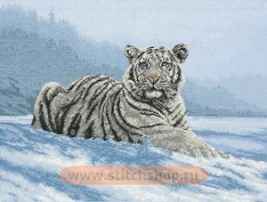 01011 Siberian Tiger	(Anchor)