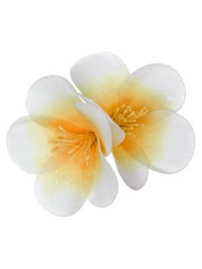 Hawaiian Flower Clip