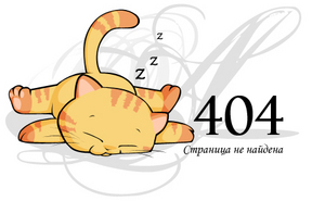 Гос. номер 404