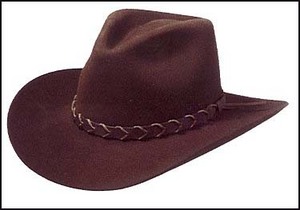 ORIGINAL STETSON cowboy hat