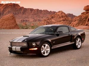 Mustang