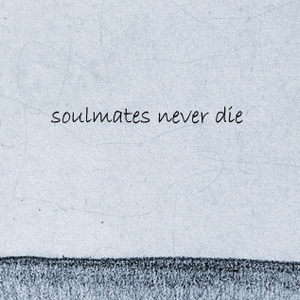 футболка с надписью "soulmates never die"