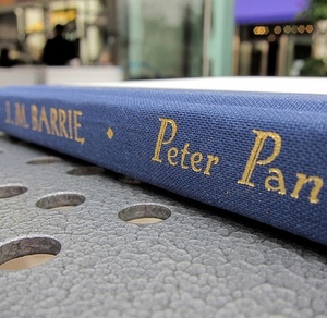 прочитать Peter Pan by James M. Barrie